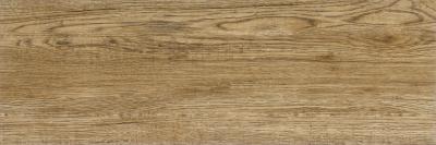 Strani program - PARMA WOOD 25X75