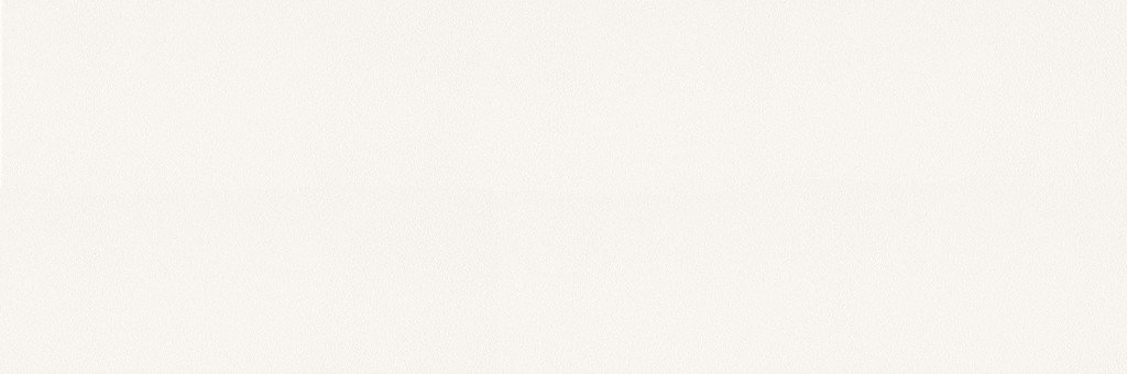PS40 WHITE MICRO 39,8X119,8 I