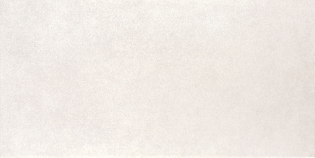 Domaći program - PORTO LIGHT GRAY 25X50 I