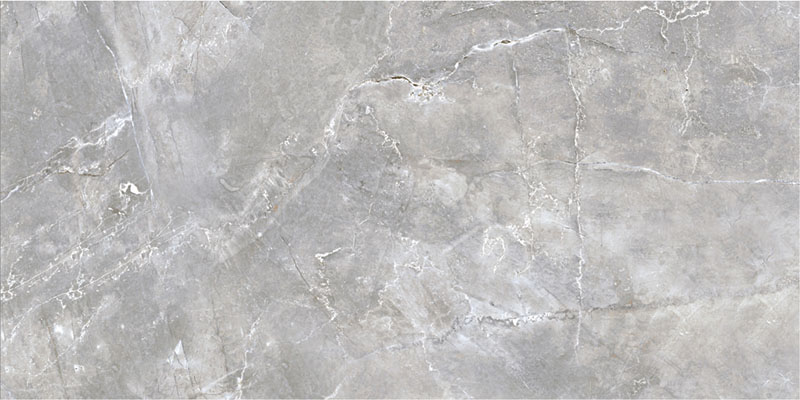 Strani program - SAKARYA GRAY 60X120 I